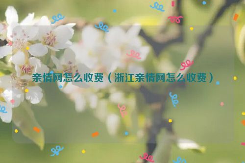 亲情网怎么收费（浙江亲情网怎么收费）