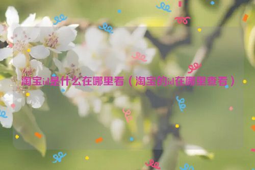 淘宝id是什么在哪里看（淘宝的id在哪里查看）