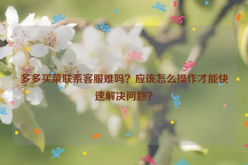 多多买菜联系客服难吗？应该怎么操作才能快速解决问题？