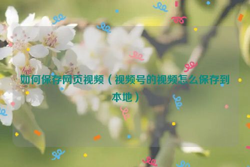 如何保存网页视频（视频号的视频怎么保存到本地）