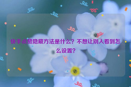 快手点赞隐藏方法是什么？不想让别人看到怎么设置？