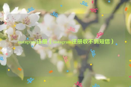 instagram注册（instagram注册收不到短信）