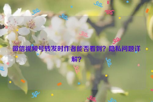 微信视频号转发时作者能否看到？隐私问题详解？