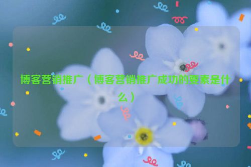 博客营销推广（博客营销推广成功的要素是什么）