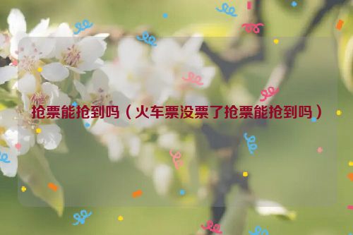 抢票能抢到吗（火车票没票了抢票能抢到吗）