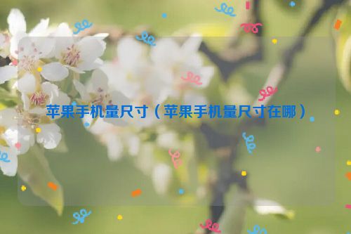 苹果手机量尺寸（苹果手机量尺寸在哪）