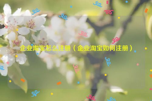 企业淘宝怎么注册（企业淘宝如何注册）