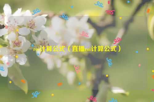 roi计算公式（直播roi计算公式）