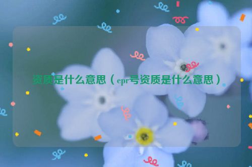 资质是什么意思（epr号资质是什么意思）