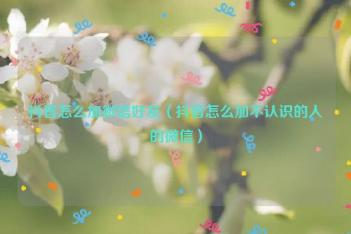 抖音怎么加微信好友（抖音怎么加不认识的人的微信）