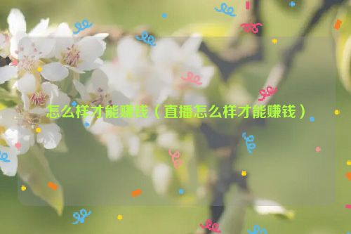 怎么样才能赚钱（直播怎么样才能赚钱）