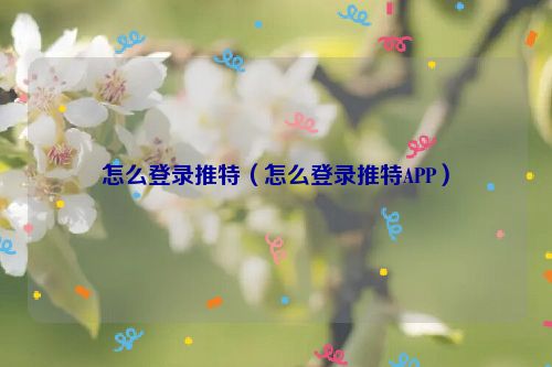 怎么登录推特（怎么登录推特APP）