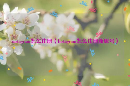 instagram怎么注册（Instagram怎么注册新账号）