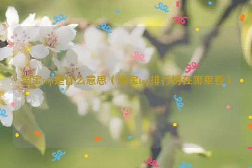 淘宝top是什么意思（淘宝top排行榜在哪里看）