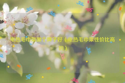 电热毛巾架哪个牌子好（电热毛巾架性价比高的）