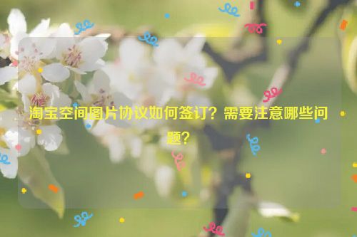 淘宝空间图片协议如何签订？需要注意哪些问题？