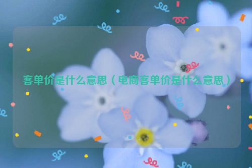 客单价是什么意思（电商客单价是什么意思）