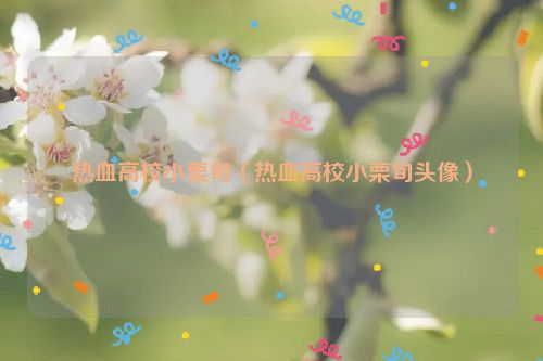 热血高校小栗旬（热血高校小栗旬头像）