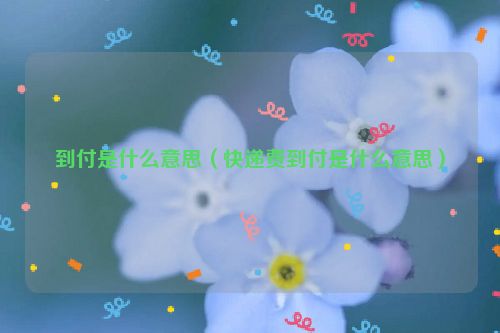 到付是什么意思（快递费到付是什么意思）