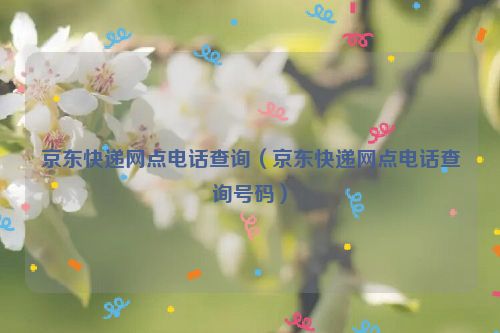 京东快递网点电话查询（京东快递网点电话查询号码）