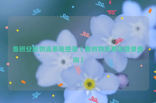 鲁班安能物流系统登录（鲁班物流系统登录查询）