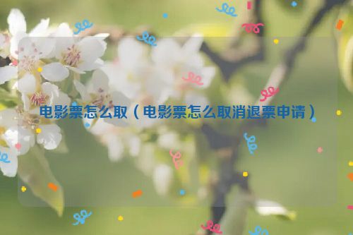 电影票怎么取（电影票怎么取消退票申请）