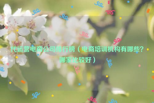 代运营电商公司排行榜（电商培训机构有哪些？哪家比较好）