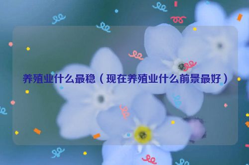 养殖业什么最稳（现在养殖业什么前景最好）