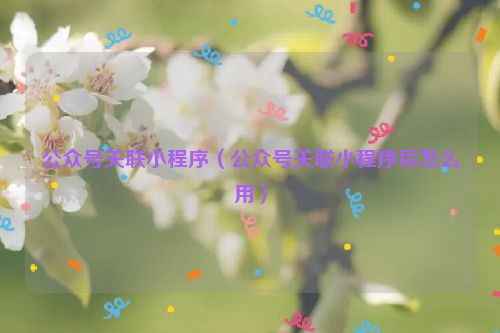 公众号关联小程序（公众号关联小程序后怎么用）