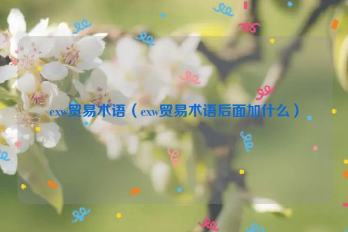 exw贸易术语（exw贸易术语后面加什么）