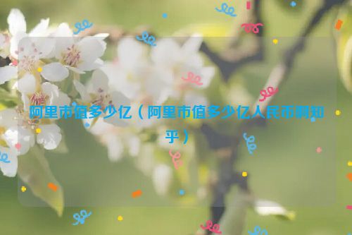 阿里市值多少亿（阿里市值多少亿人民币啊知乎）