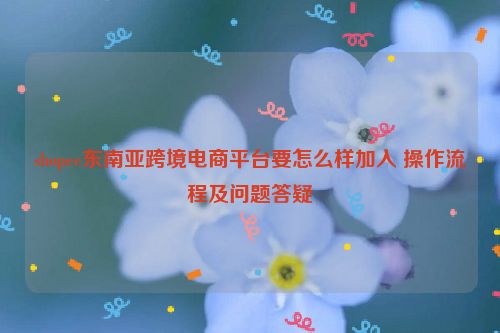 shopee东南亚跨境电商平台要怎么样加入 操作流程及问题答疑