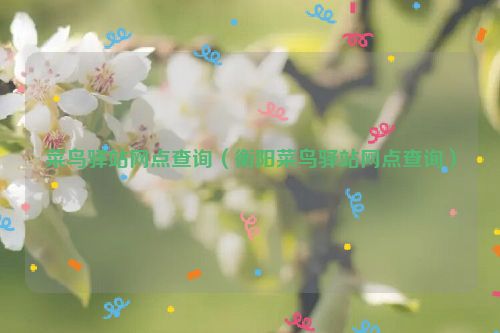 菜鸟驿站网点查询（衡阳菜鸟驿站网点查询）