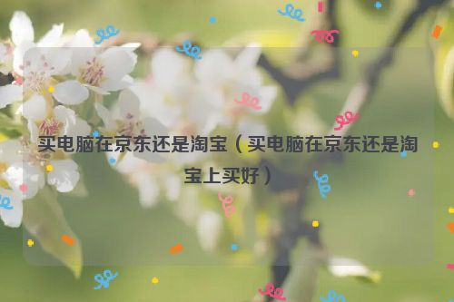 买电脑在京东还是淘宝（买电脑在京东还是淘宝上买好）