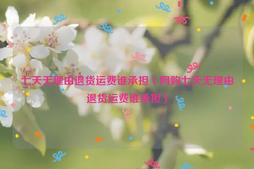 七天无理由退货运费谁承担（网购七天无理由退货运费谁承担）