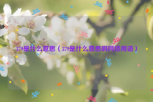 379是什么意思（379是什么意思啊网络用语）