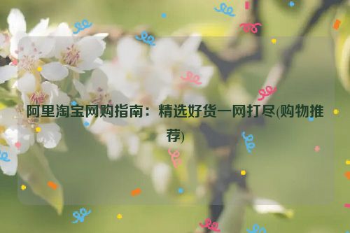 阿里淘宝网购指南：精选好货一网打尽(购物推荐)