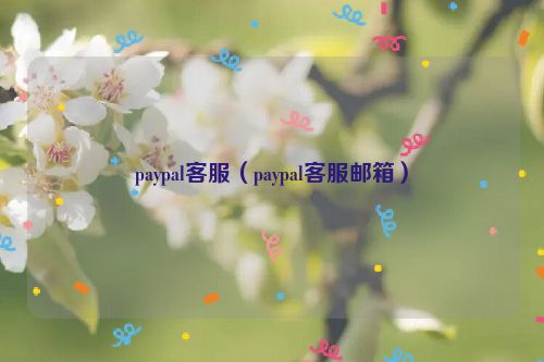 paypal客服（paypal客服邮箱）