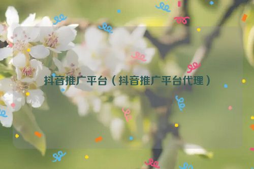 抖音推广平台（抖音推广平台代理）