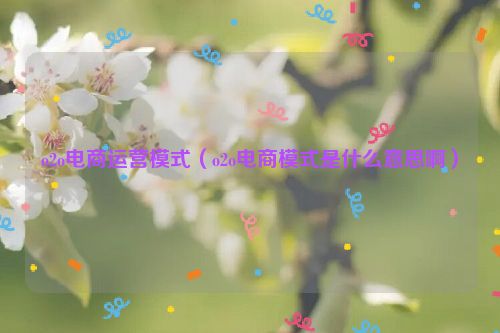 o2o电商运营模式（o2o电商模式是什么意思啊）