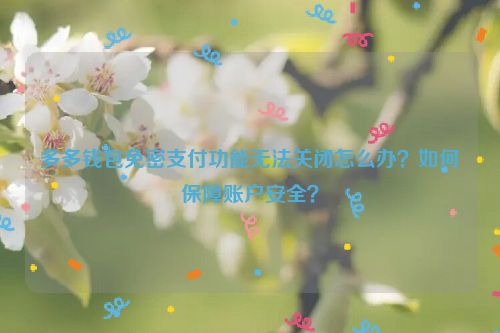 多多钱包免密支付功能无法关闭怎么办？如何保障账户安全？