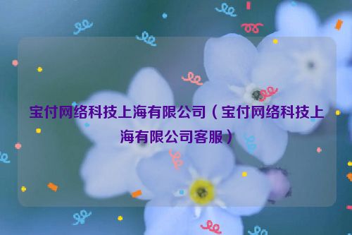 宝付网络科技上海有限公司（宝付网络科技上海有限公司客服）