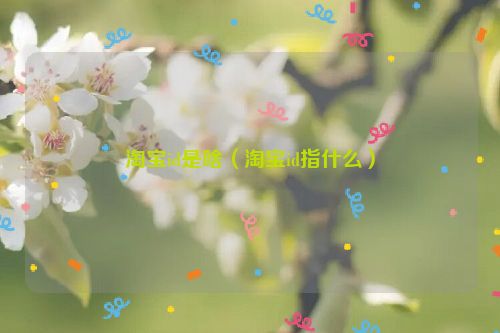 淘宝id是啥（淘宝id指什么）