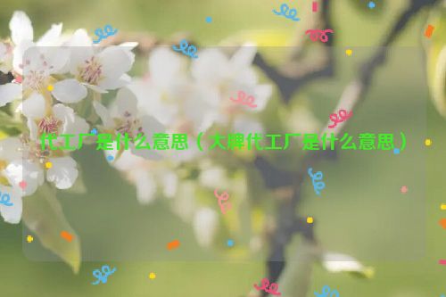 代工厂是什么意思（大牌代工厂是什么意思）