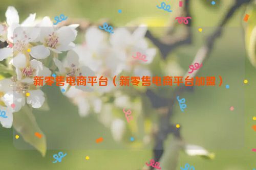 新零售电商平台（新零售电商平台加盟）