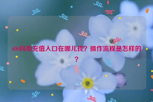 iOS抖币充值入口在哪儿找？操作流程是怎样的？