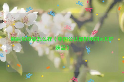 韩后化妆品怎么样（中国公认最好用的10大护肤品）