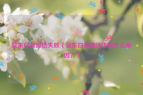 京东白条激活失败（京东白条激活失败什么原因？）