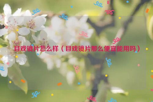 目戏镜片怎么样（目戏镜片那么便宜能用吗）