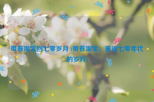 带着淘宝回七零岁月 (带着淘宝，重返七零年代的岁月)